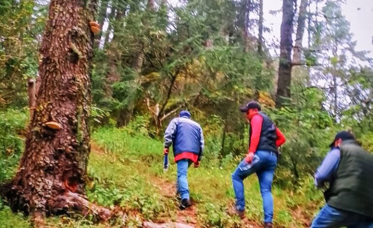 Realizan en el Parque Nacional “El Chico” Recorridos de Vigilancia Para Evitar La Extracción Ilícita de Musgo ó Heno