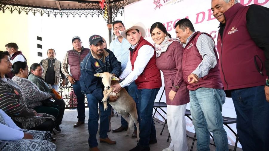 Impulsa Saderh producción ovina en el Altiplano hidalguense
