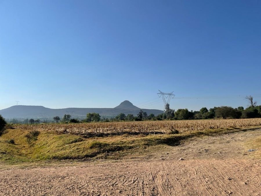 39 Investigadores de la UAEH Elaboraron Programa de Mitigación y Adaptación ante el Cambio Climático del Municipio de Pachuca