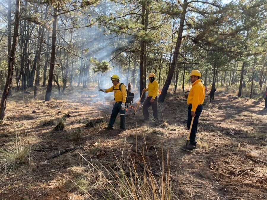 CONAFOR Capacita a Bomberos de Tulancingo Con Enfoque de Una Quema Prescrita