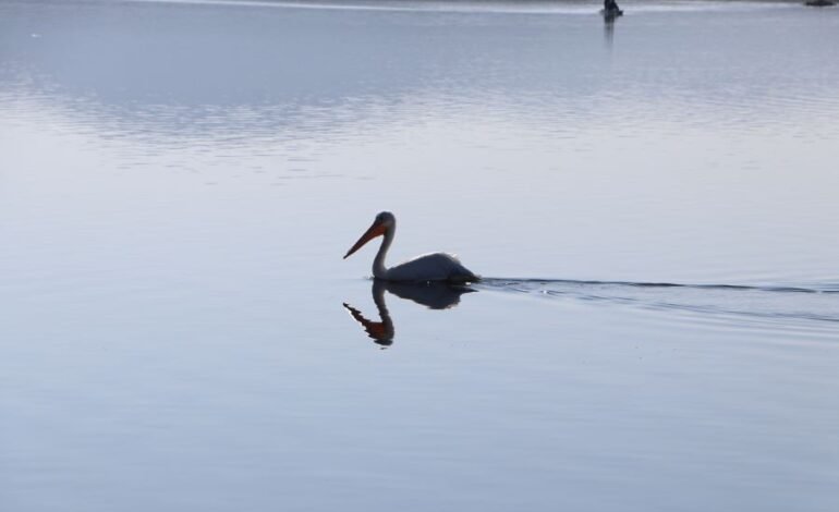 La Laguna de Tecocomulco es Patrimonio Ecológico de la Humanidad.