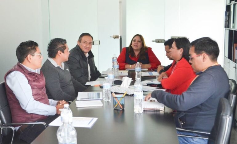 Apoyo de la CEDSPI en la Difusión de Las Acciones Afirmativas de Derechos Político-Electorales de Indígenas y Afromexicanas