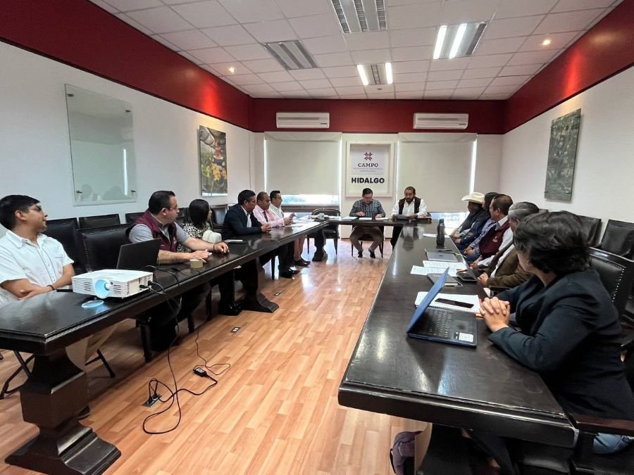 Saderh Implementa Estrategias Para Lograr La Denominación de Origen de la Planta de Maguey