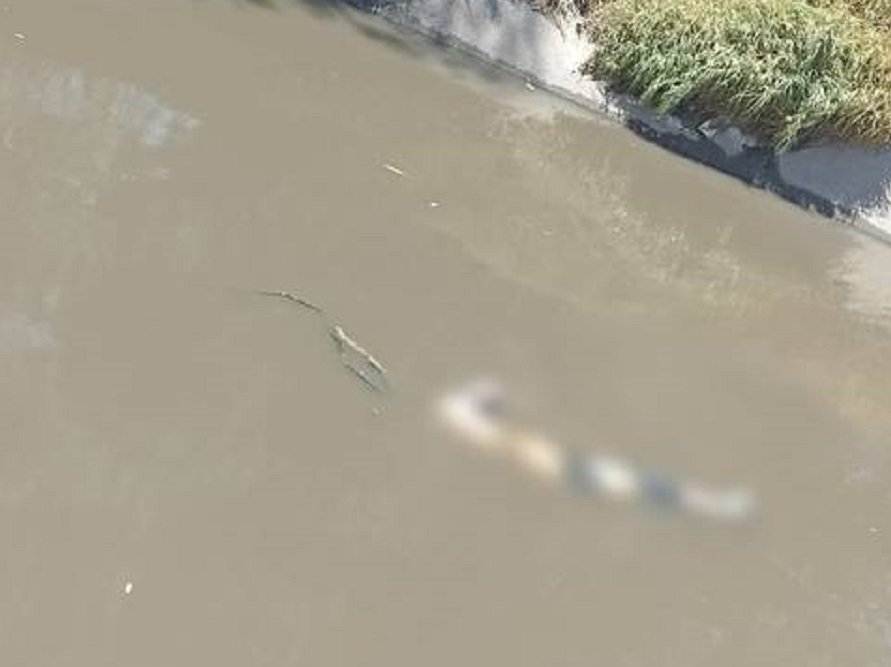 Apareció Cadáver de un Hombre Flotando en Aguas Negras del Canal Requena, a la Altura de la Comunidad El Tinaco