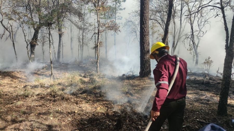 Grupo Técnico Operativo de Incendios Forestales de Hidalgo Atiende 35 Incendios Forestales