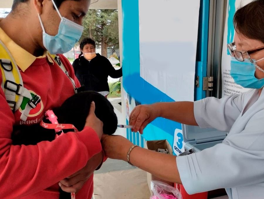 Del 17 al 23 Jornada de Vacunación Antirrábica Canina y Felina en el Estado