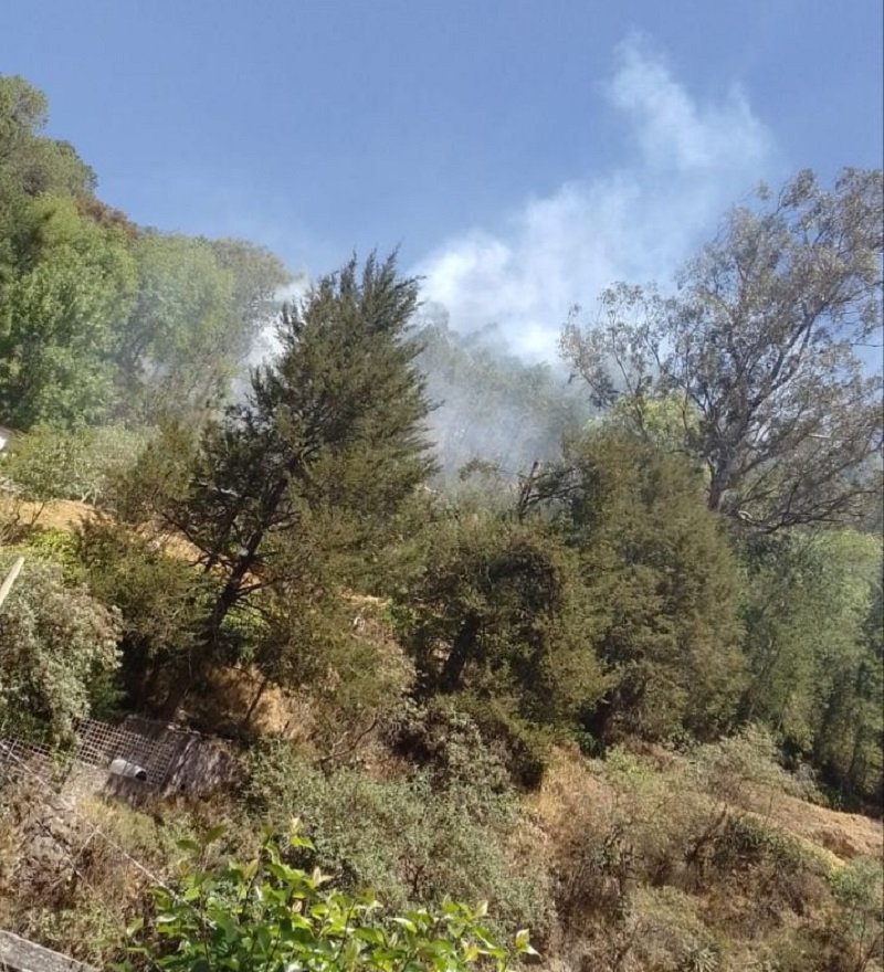Incendio en “La Campaña” en el Bosque de Mineral del Chico