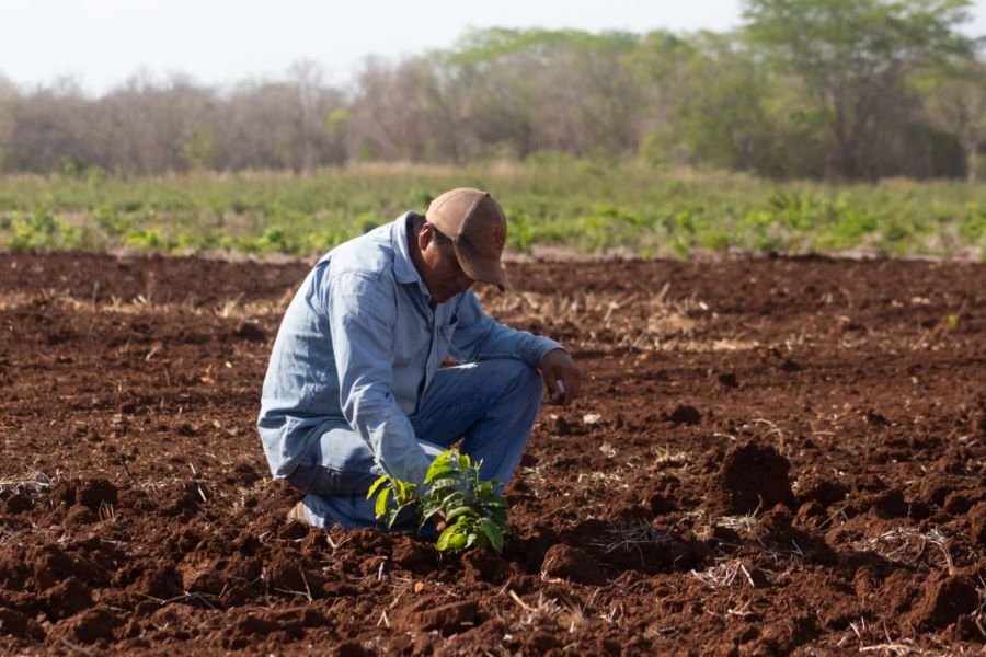 “Propuestas Serias Contra la Crisis del Campo, Exigen Productores a Candidatos Presidenciales”.