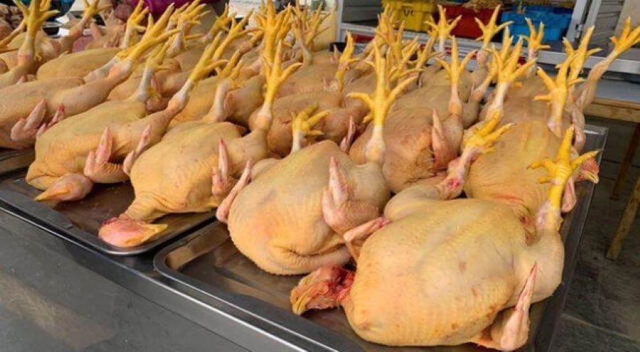 Recomendaciones a la Población en la Compra de Pollo Para Consumo Humano