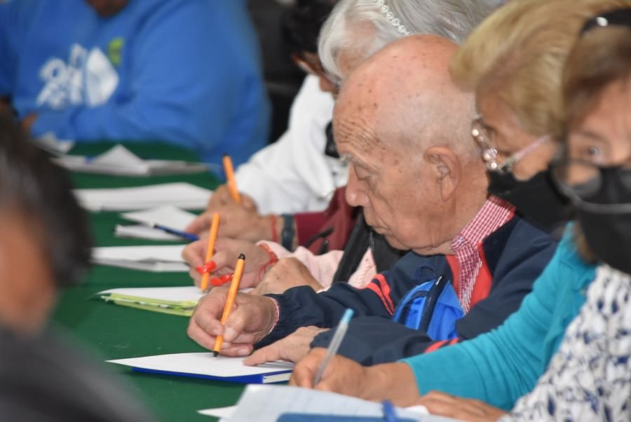 Curso de Apoyo Terapéutico a Personas Cuidadoras de Adultos Mayores