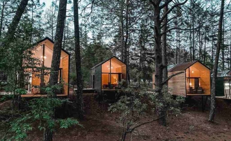 “Pinochueco”, Ubicado a 40 minutos de Pachuca, Hay Casitas en Los Árboles Lugar Ideal Para Vacacionar