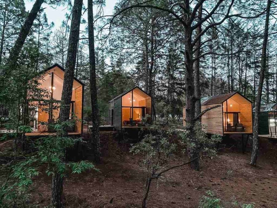 “Pinochueco”, Ubicado a 40 minutos de Pachuca, Hay Casitas en Los Árboles Lugar Ideal Para Vacacionar