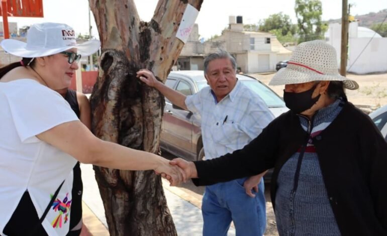 Buscará Tania Meza Incrementar Presupuesto Destinado al Arte y la Cultura