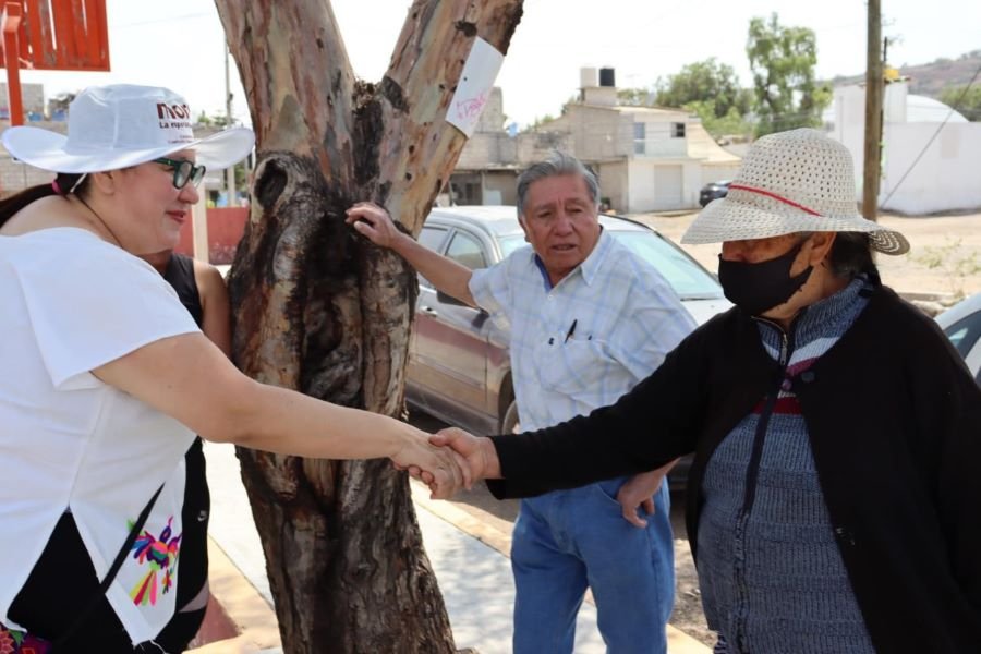 Buscará Tania Meza Incrementar Presupuesto Destinado al Arte y la Cultura