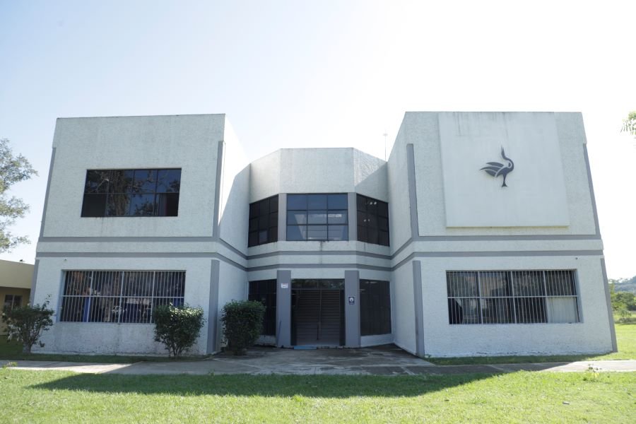 Conviértete en líder con la Licenciatura en Administración de la ESHu