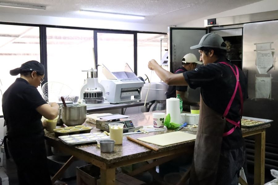 Excepciones al Pago de Utilidades: Directores, Administradores, Gerentes Generales de la Empresa