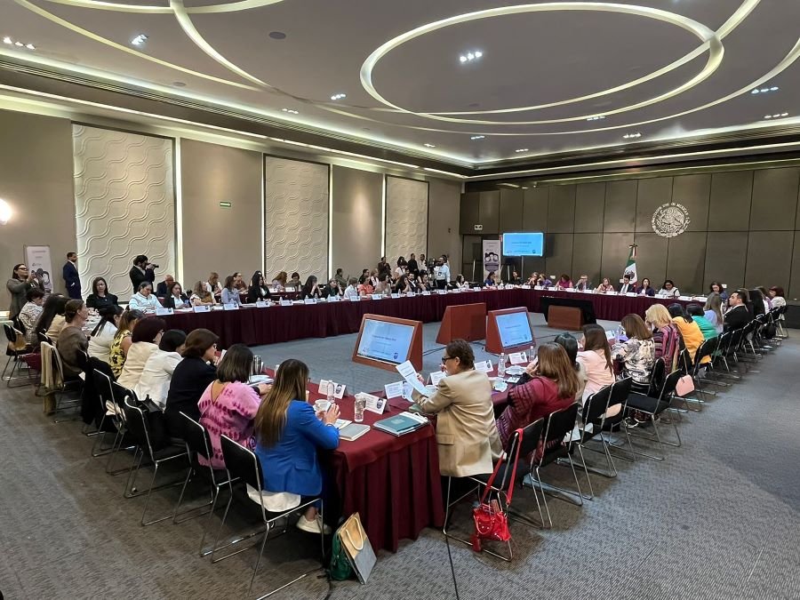 IHM Participó en Sesión Ordinaria del Sistema Nacional Para Prevenir, Atender, Sancionar y Erradicar la Violencia Contra Las Mujeres