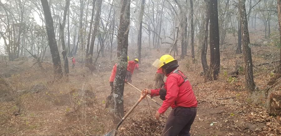 Incendio en Nicolás Flores Controlado a Cien Por Ciento