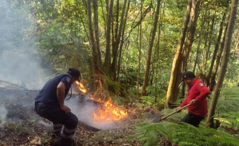 Sofocan Incendios en el Municipio de Tlanchinol