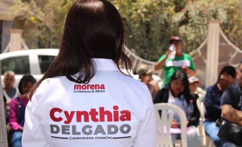 Que Pueblos Originarios Apliquen Recursos Públicos, Propone Cynthia Delgado