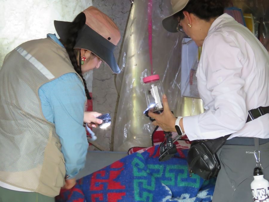 Hoy es el Día Mundial de la Enfermedad de Chagas Provocado por “Chinches Besuconas”