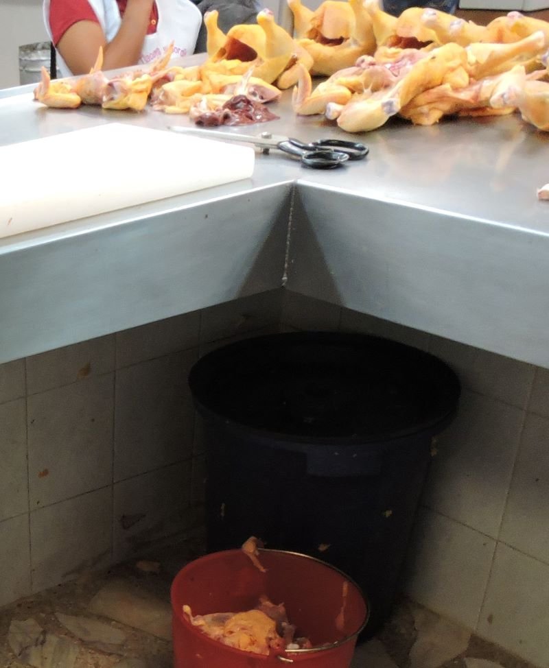 SSH Reportó Un Caso Humano del Virus de la Influenza Aviar A(H5N1)