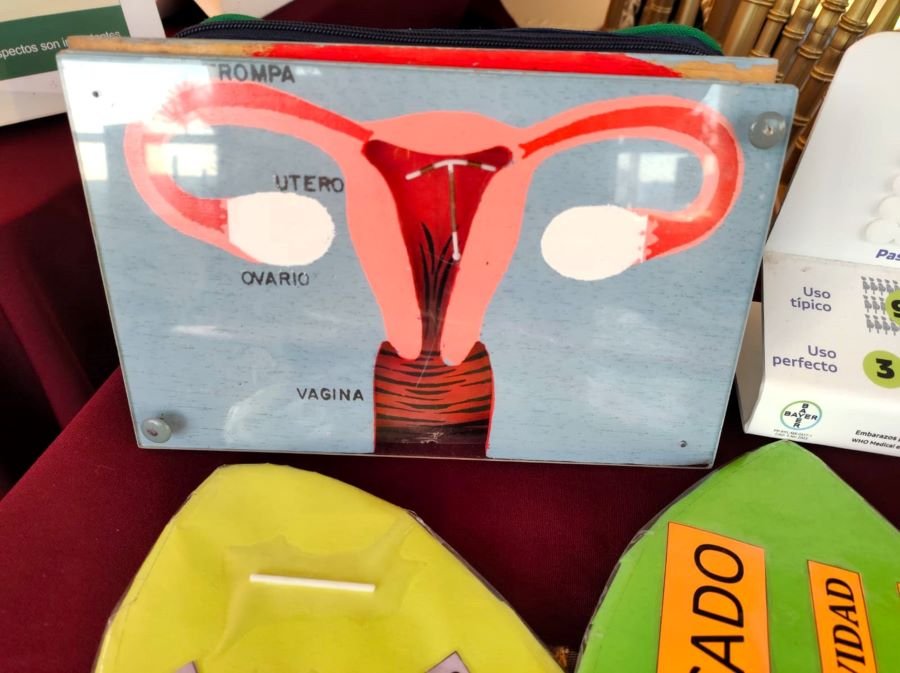 28 De Mayo, Día Internacional De La Higiene Menstrual