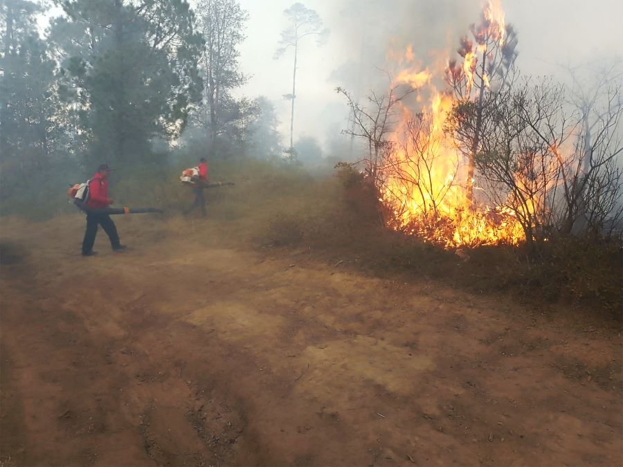 Incendio Forestal en la Localidad de el Potrero, en Tenango de Doria