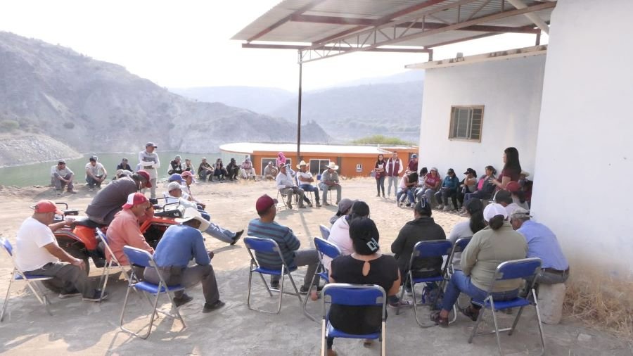 Legislaremos Para Atender a Cada Sector: Alma Elías