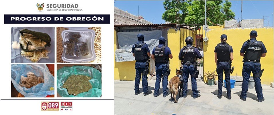 SSPH Decomisa Más de Mil Dosis de Presunta Droga