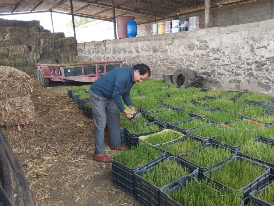 Reciben Asistencia Técnica-Agrícola Titulares de Áreas de Riego de Santa Ana Hueytlalpán y Productores de Acocul