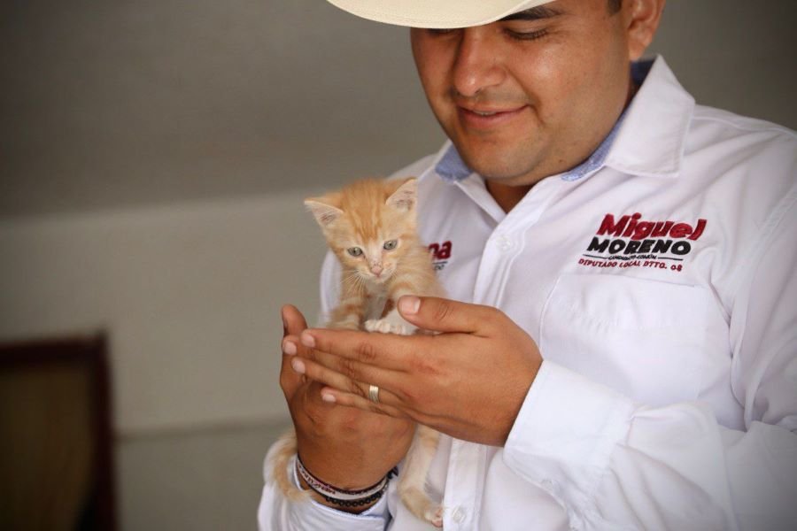 Tratar Bien a Los Animales Nos Convertirá en Mejores Seres Humanos: Miguel Moreno
