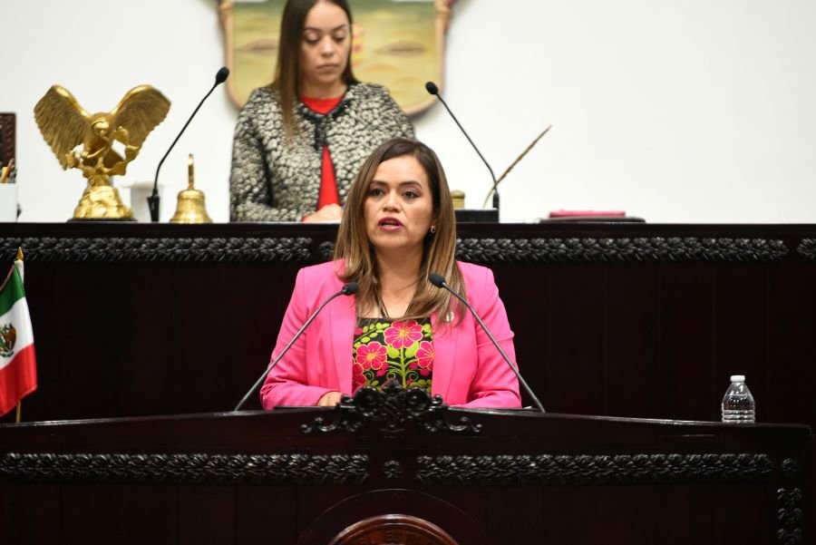 Legisladora Propone Reforma a la Constitución Para Considerar el Agua Como un Bien Publico