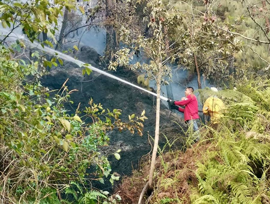 Bomberos Se Suman a Labores Para Combatir Incendio Forestal de Tenango de Doria