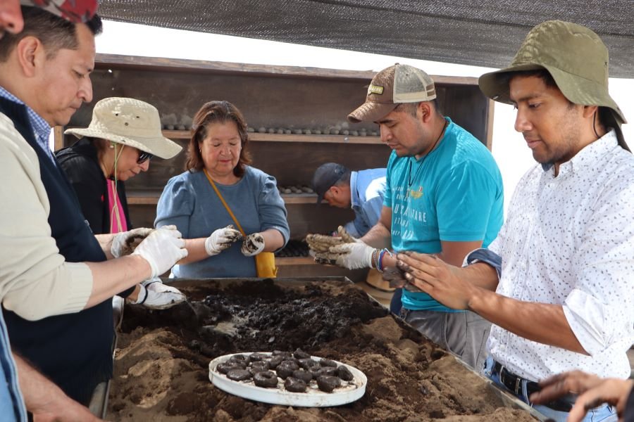 Celebrarán Día Mundial del Medio Ambiente en Parque Ecológico Cubitos