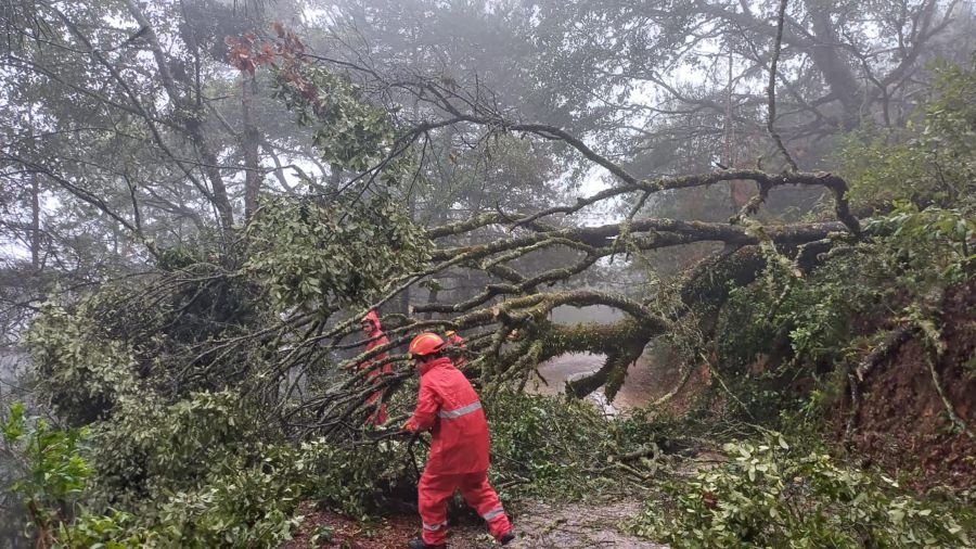 Hidalgo sin cierres carreteros, pese a derrumbes