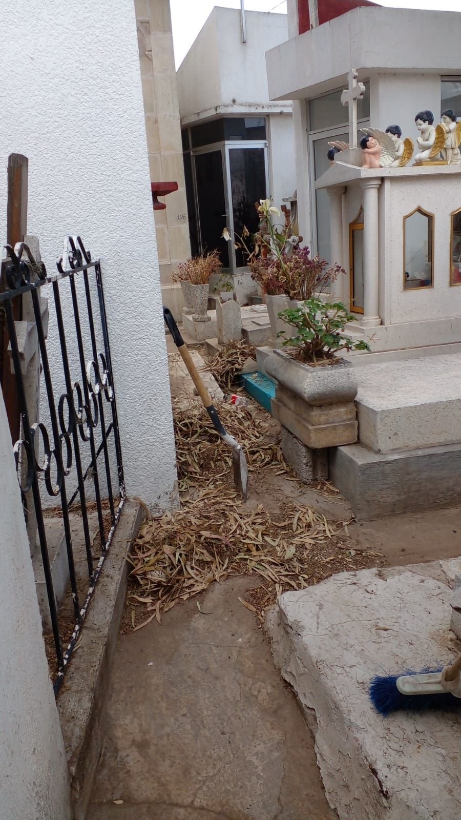 Panteón Municipal de Tulancingo, Dará Servicio Durante El Día del Padre