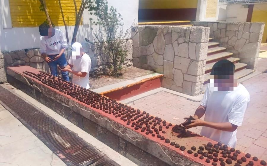 Participan Centros Penitenciarios en Proyecto de Reforestación