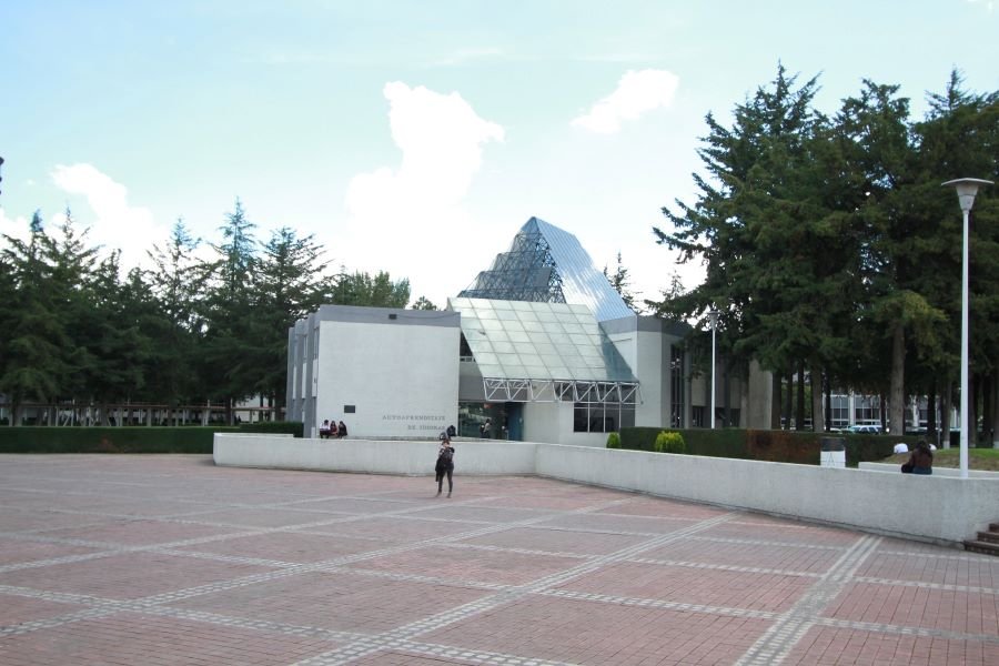 El 30 de Junio Cierra la Convocatoria de la Tercera Edición del IMFLIT Que se Realizará del 26 al 28 de Marzo de 2025.