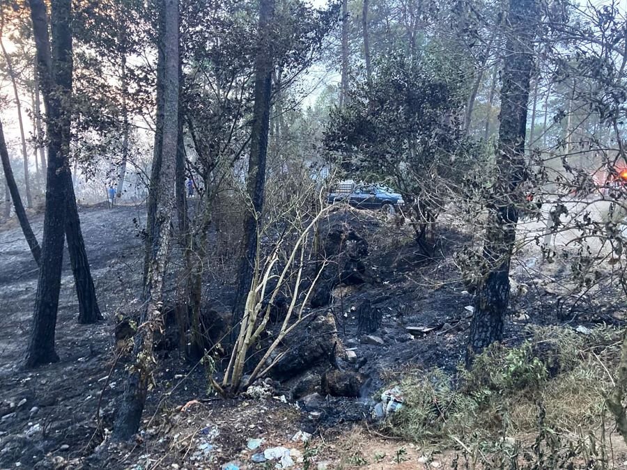 90 % de Control y 75 % de Liquidación del Incendio del Cerro de Ajacaya, municipio de Zacualtipán: SEDENA, CONFOR, PC