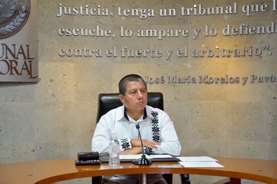 Teeh Sanciona a Ex Candidatos Por Usar Niños en Propaganda Electoral