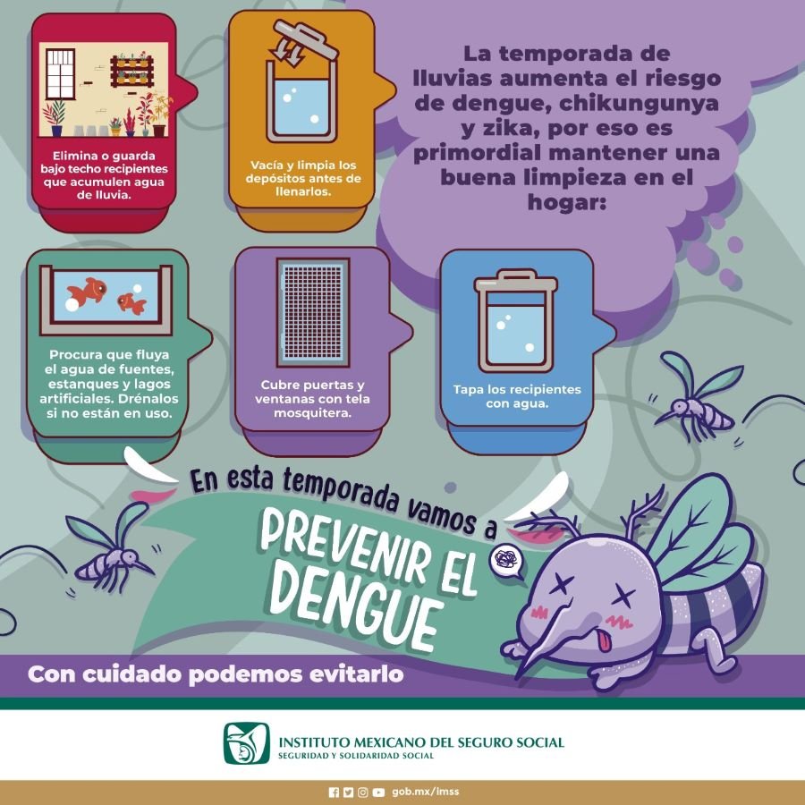 Brinda IMSS Hidalgo Recomendaciones Para Prevenir Casos de Dengue