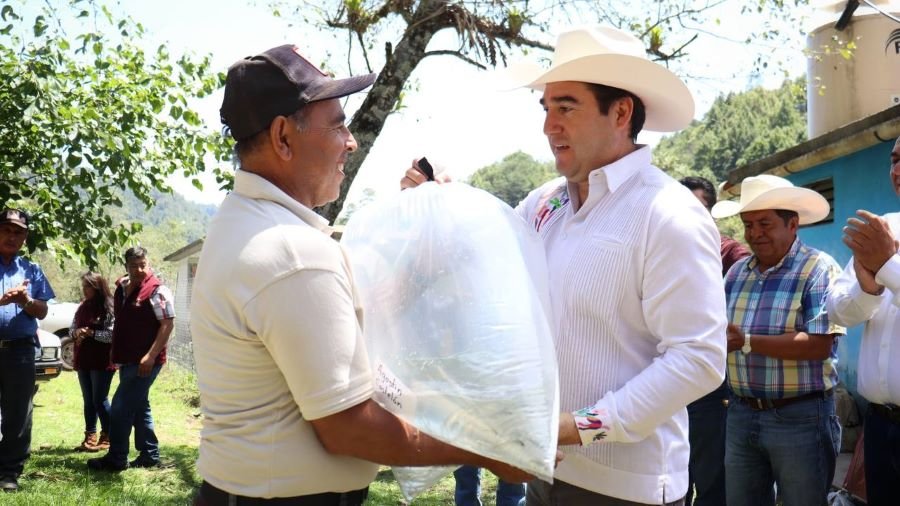 Saderh Entrega 43 Mil Crías de Trucha Arcoíris y 605 Mil de Carpa y Tilapia en Acaxochitlán