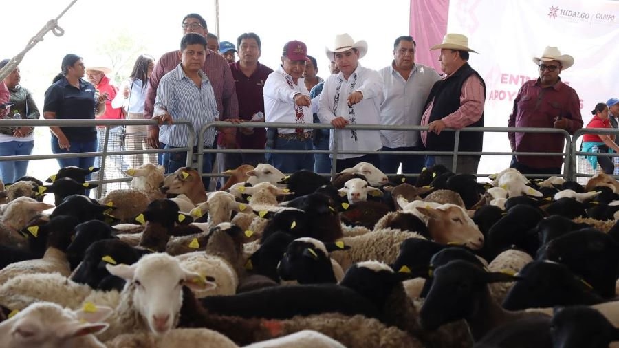Fortalece Saderh Bienestar de Productores del Campo, a Través de Diferentes Apoyos y Programas