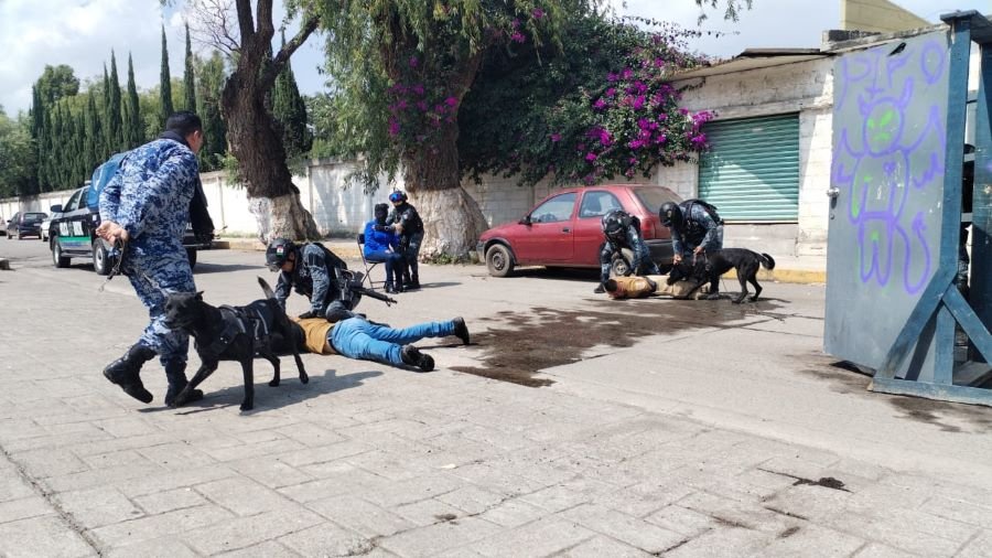 Participación de La Dirección de Prevención del Delito en Exhibiciones de grupos táctico y canino en el curso de verano de la UPC