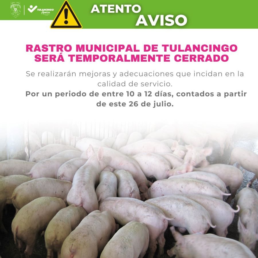 Rastro Municipal de Tulancingo Será Temporalmente Cerrado Para Emprender Mejoras Que Incidan en Calidad de Servicio