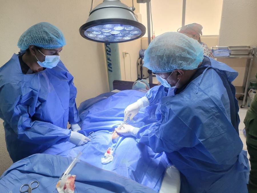 Realiza IMSS Hidalgo 14ª Jornada Nacional de Servicios Ordinarios 2024 en HGZ y UMF