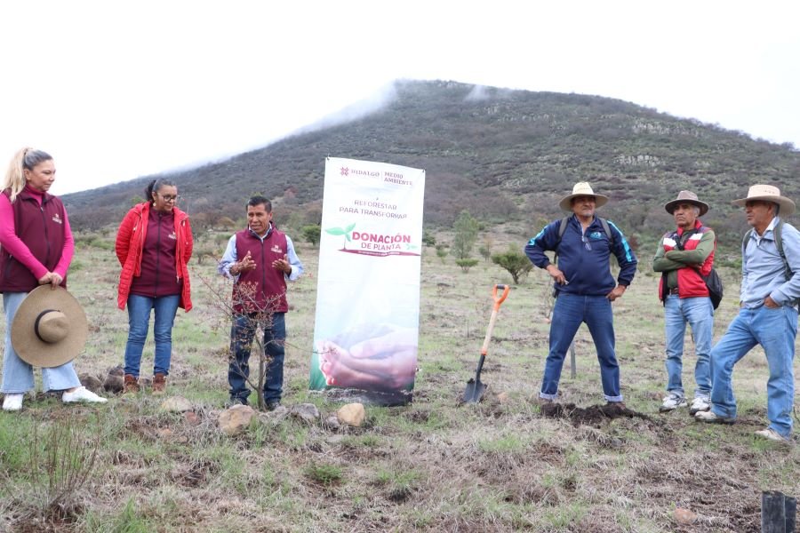Reforestación en el Área Natural Protegida Cerro Grande en el Marco del Mes del Bosque