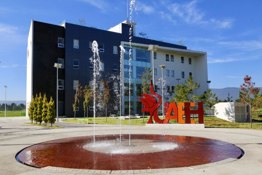 Se Posiciona UAEH En El Top 401-600 Del Impact Rakings Internacional