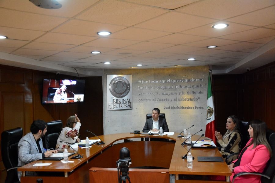 Amonestaciones Públicas y Resoluciones del Teeh (Actos Anticipados de Campaña y Otras Infracciones)